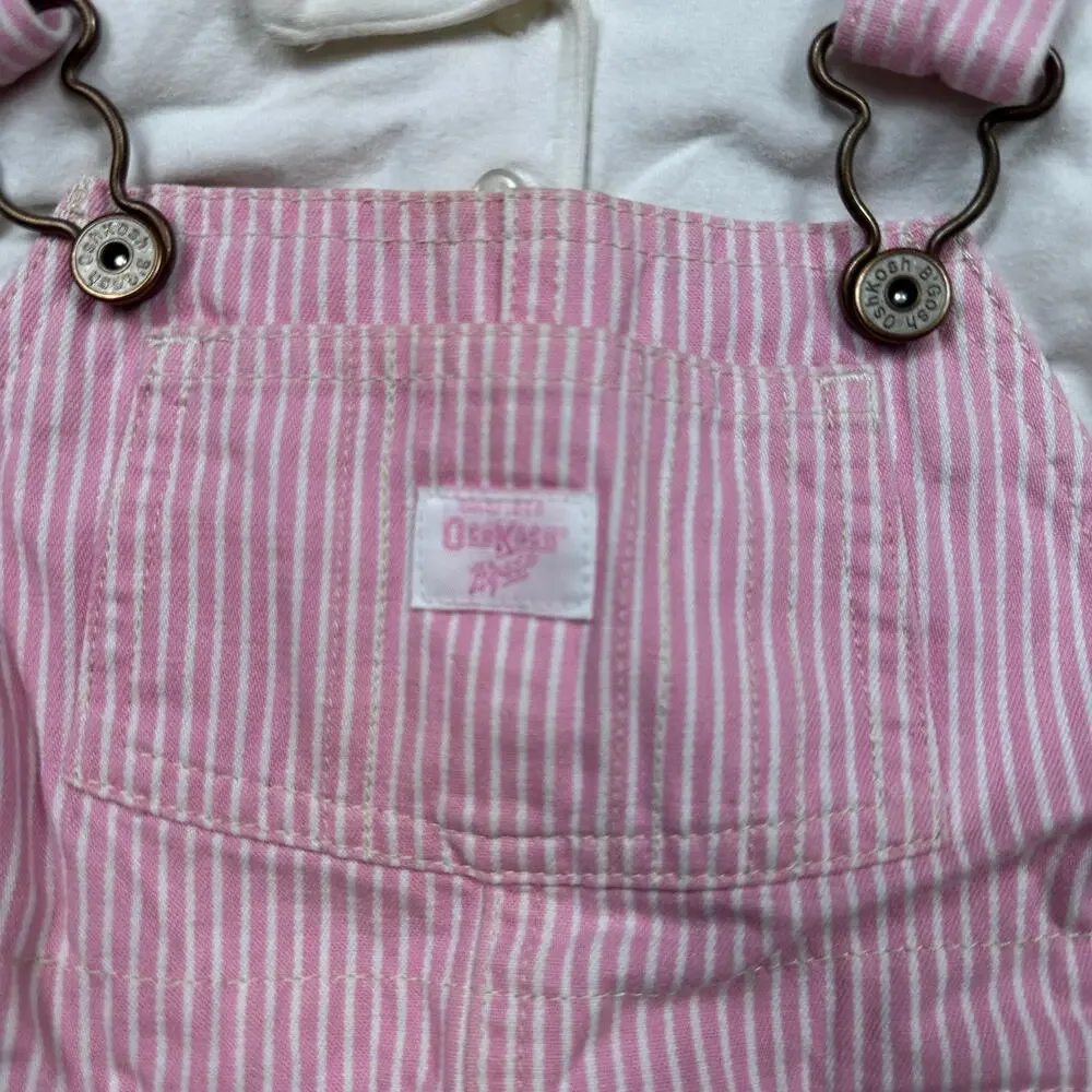 OshKosh Pink Hickory Stripe Overalls Floral Cottagecore Country Outfit Set 24M